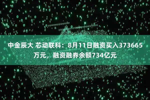 中金辰大 芯动联科：8月11日融资买入373665万元，融资融券余额734亿元