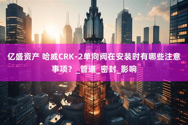 亿盛资产 哈威CRK-2单向阀在安装时有哪些注意事项？_管道_密封_影响