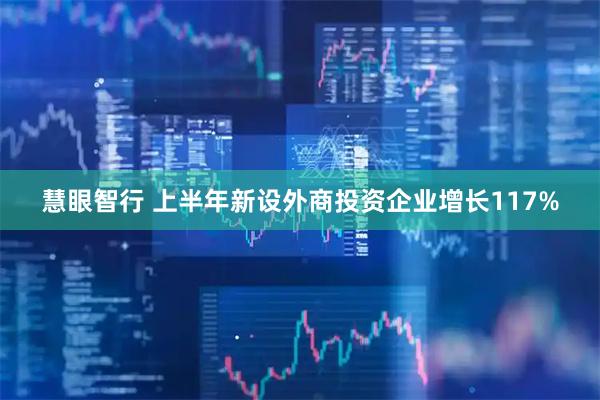 慧眼智行 上半年新设外商投资企业增长117%