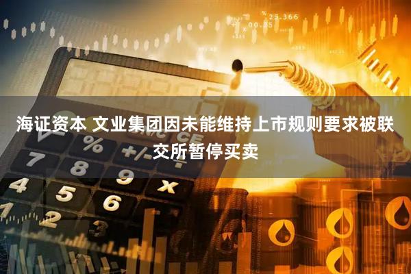海证资本 文业集团因未能维持上市规则要求被联交所暂停买卖