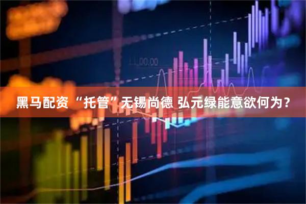 黑马配资 “托管”无锡尚德 弘元绿能意欲何为？