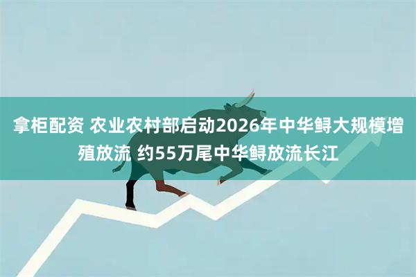 拿柜配资 农业农村部启动2026年中华鲟大规模增殖放流 约55万尾中华鲟放流长江