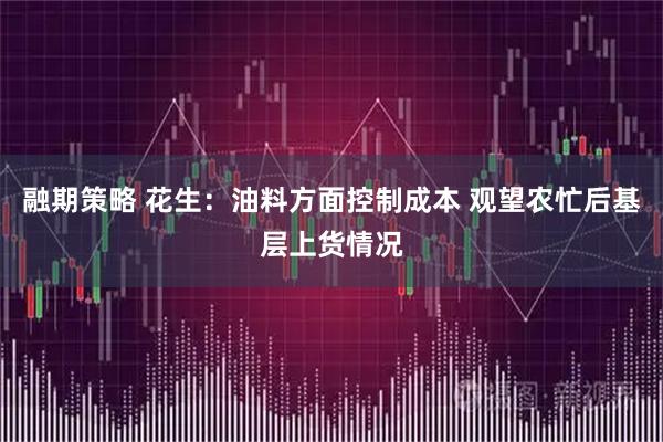 融期策略 花生：油料方面控制成本 观望农忙后基层上货情况