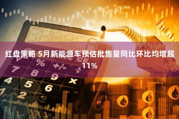 红盘策略 5月新能源车预估批售量同比环比均增超11%