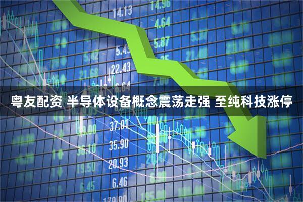 粤友配资 半导体设备概念震荡走强 至纯科技涨停